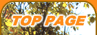 TOP PAGE