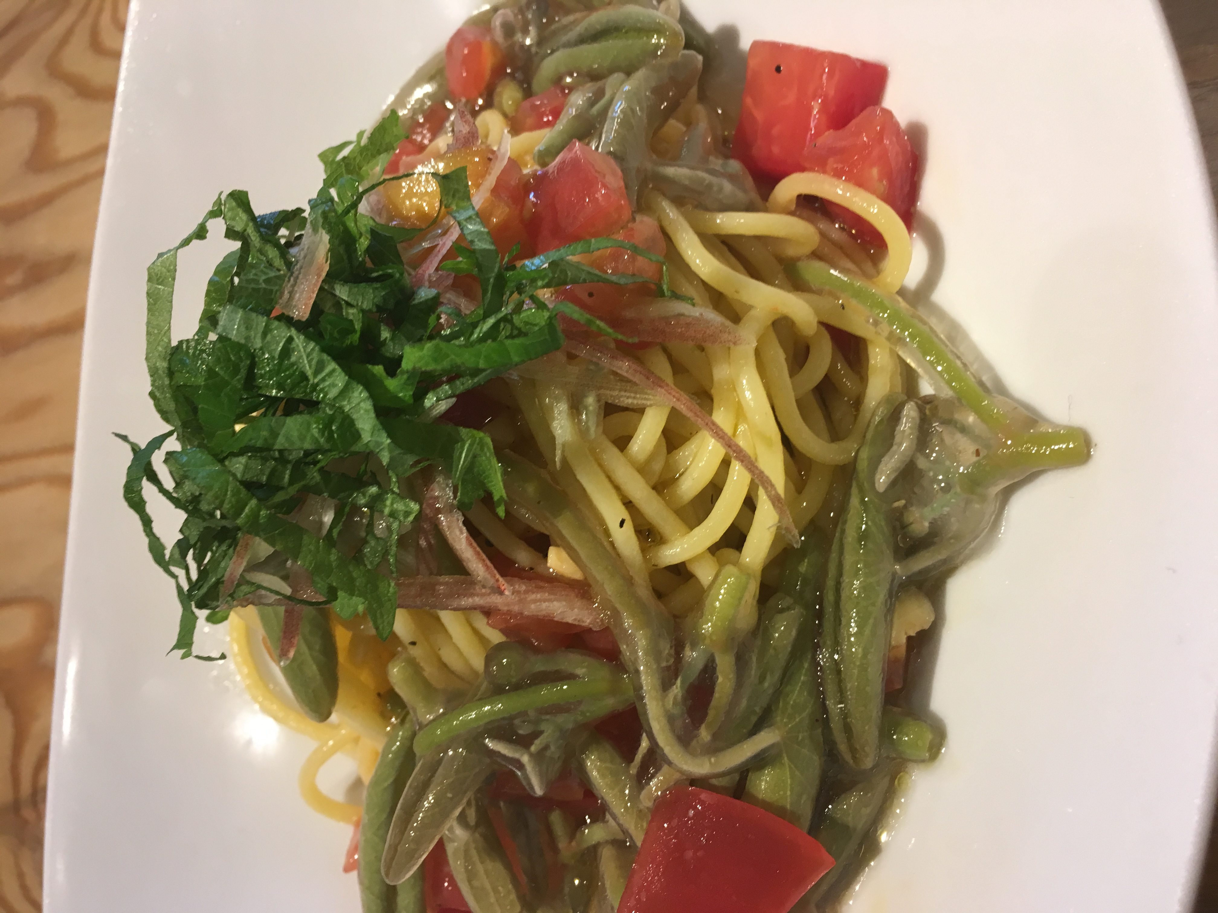 今月のおすすめ【シェフから】各店パスタ ラインナップ