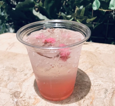 日赤3月桜