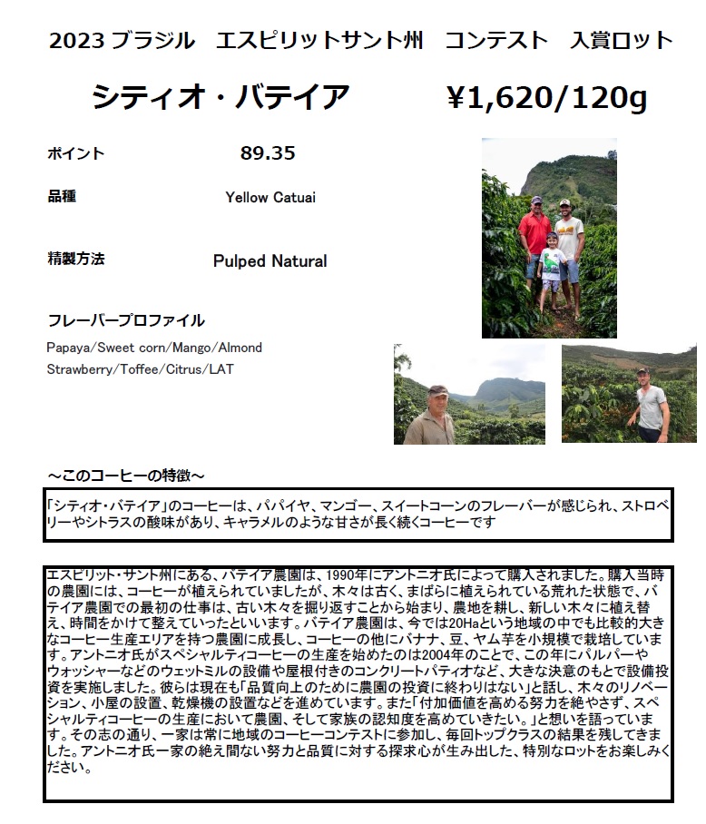 バテイアHP