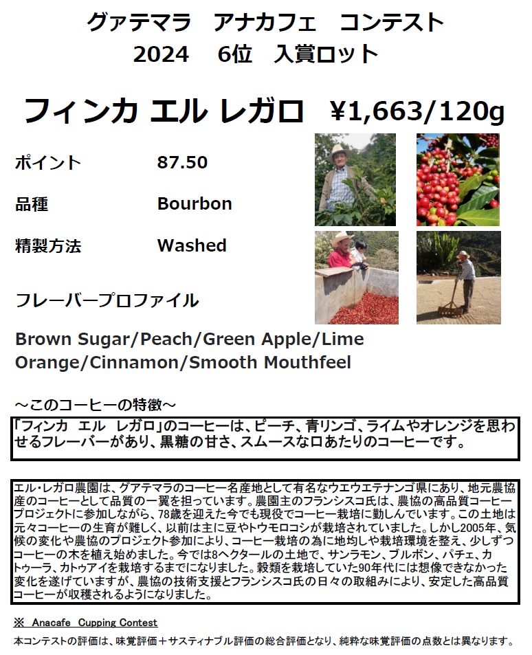 エルレガロHP