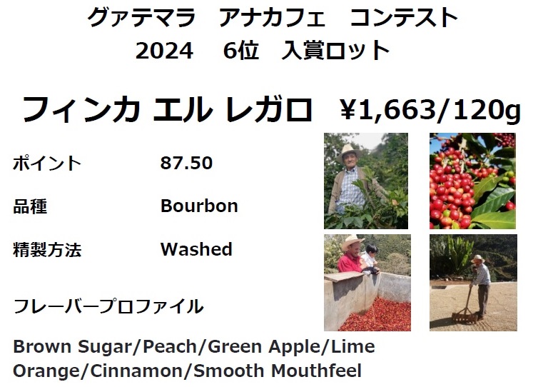 【今月のおすすめコーヒー豆】
