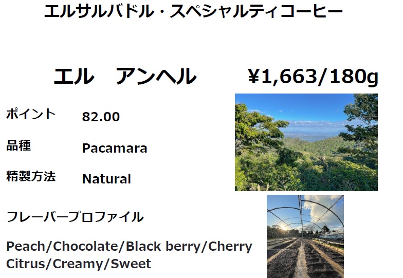 【今月のおすすめコーヒー豆】
