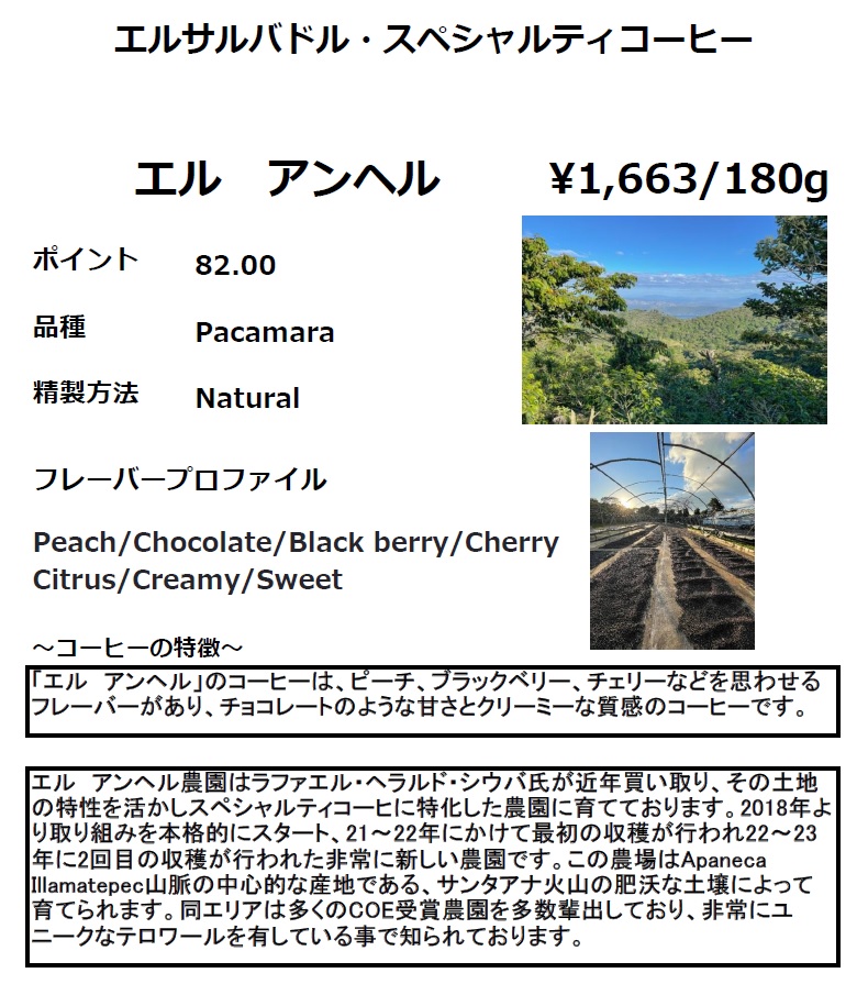 ｴﾙｱﾝﾍﾙHP8月