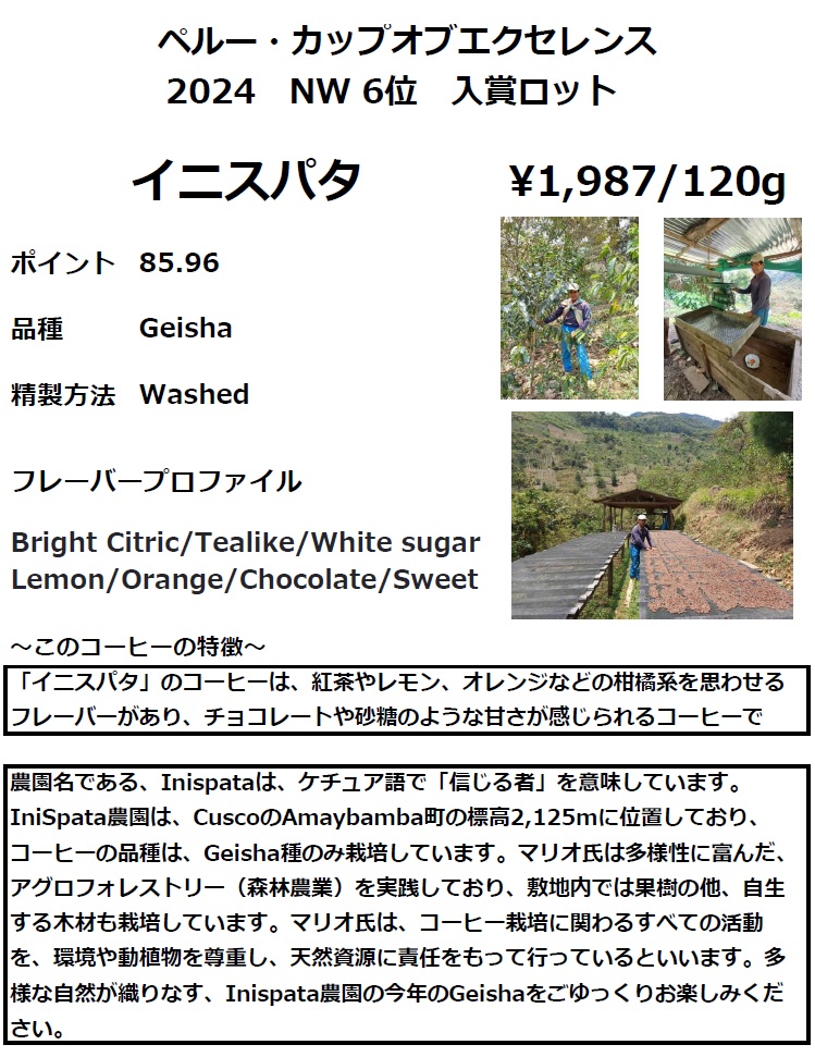イニスパタ