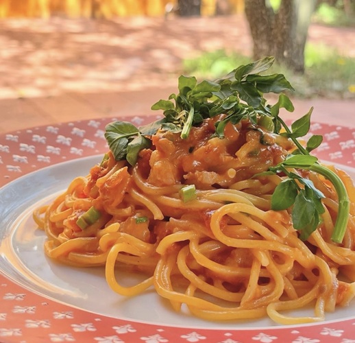 スタッフからのおすすめ