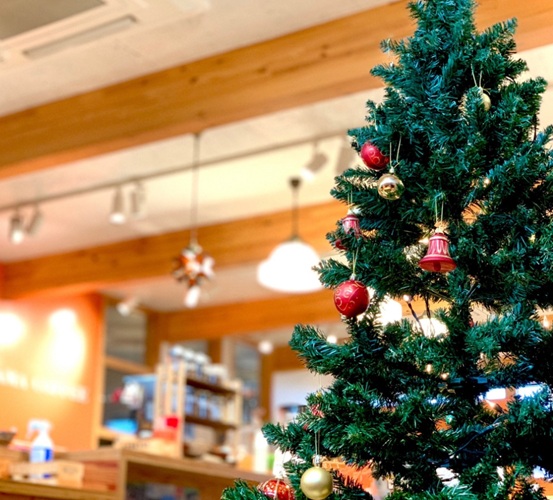 大館12月ツリー