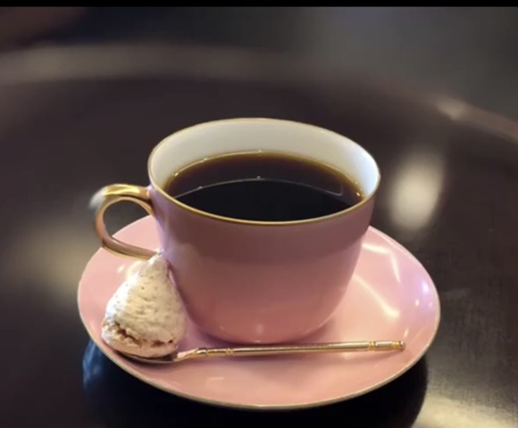 スタッフからのおすすめ