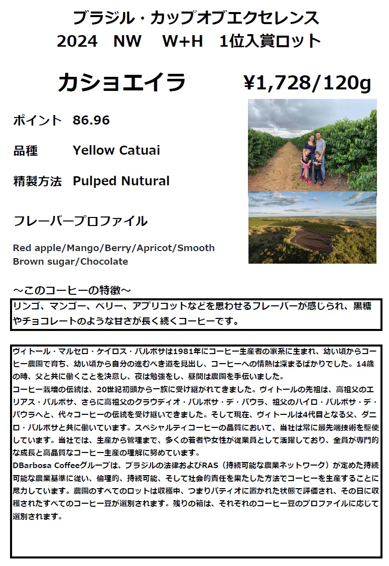 カショエイラHP2