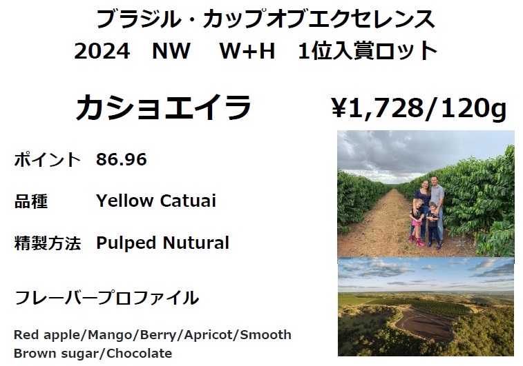 【今月のおすすめコーヒー豆】