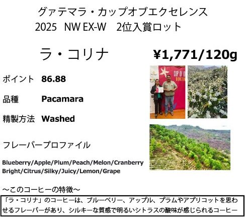 【今月のおすすめコーヒー豆】