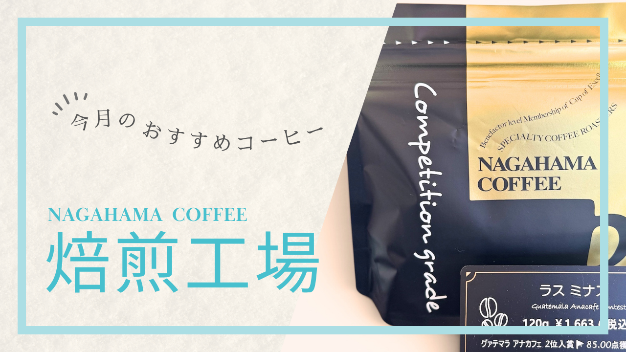 【今月のおすすめコーヒー豆】