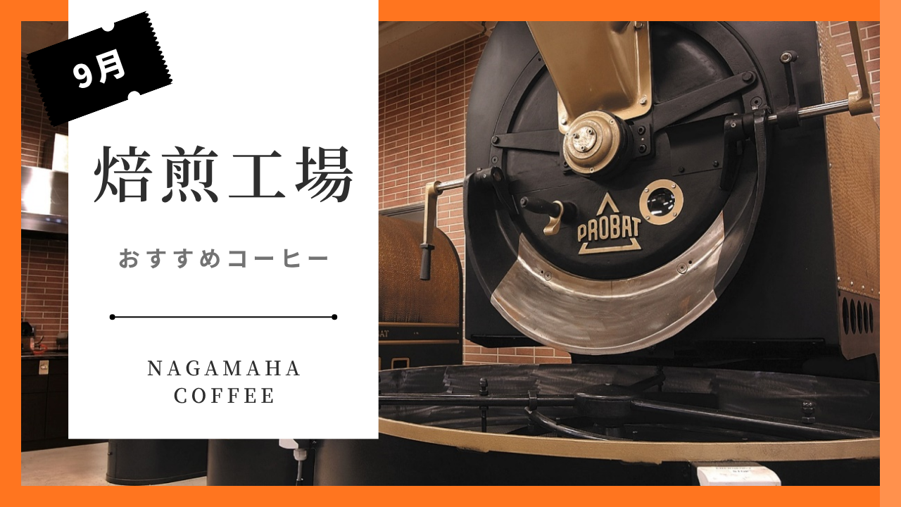 【今月のおすすめコーヒー豆】