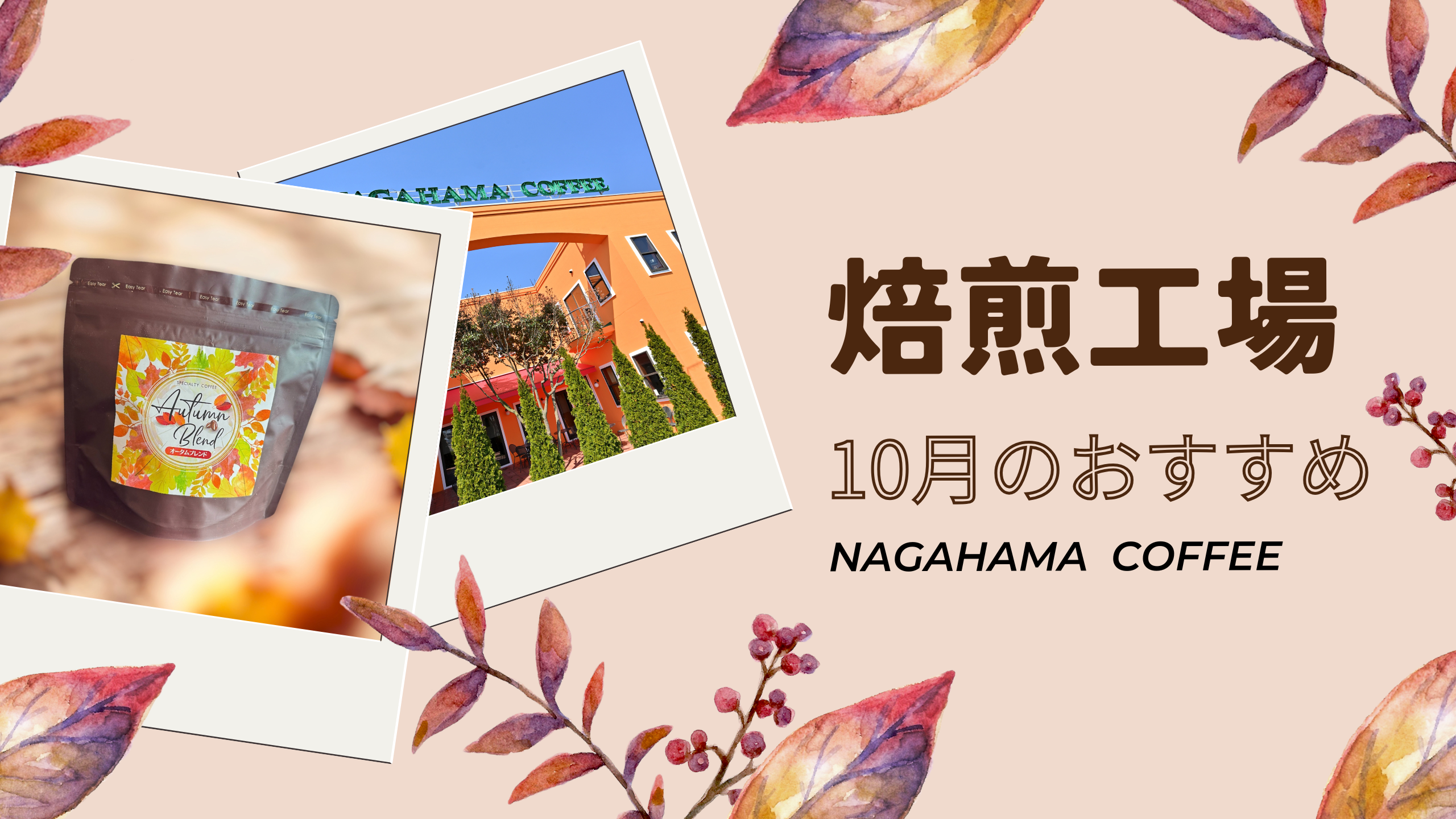 【今月のおすすめコーヒー豆】